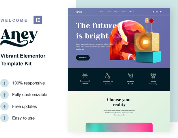 Aney Elementor Template Kit